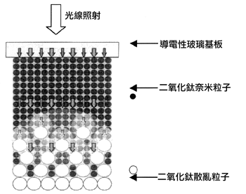 《圖二 可高效率發揮光線封閉效應的二氧化鈦電極結構》