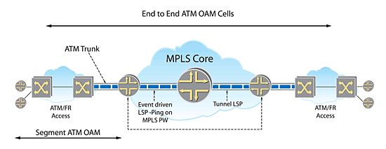 《圖三 點對點的Layer 2 OAM cell 》