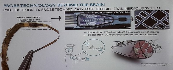 圖2 : 超越大腦的探針技術—imec將其探針技術擴展到周圍神經系統。(source:IMEC ; 2018/10)
