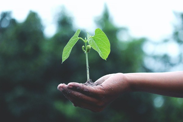 圖三 : 半導體的製造成本十分高昂。不僅用水用電量大,還會產生有害廢棄物,整體供應鏈必須致力解決這個問題,而且需要從生態系統的角度出發。