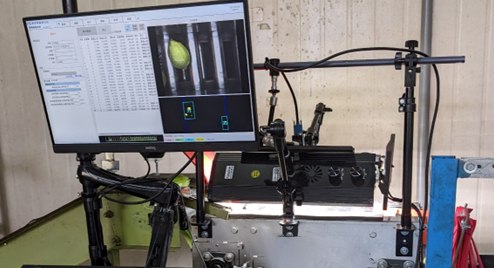 圖一 : 檸檬供應商與智慧檢測公司合作,採用The Imaging Source USB 工業相機,進行檸檬外觀檢測及選別。(source:海波視智慧)