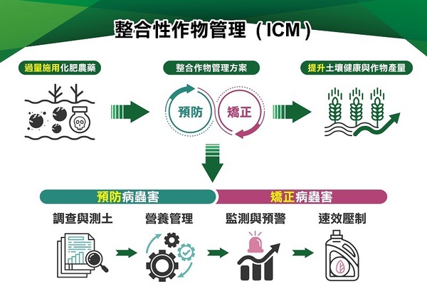 圖五 : ICM管理模式通過運用大數據分析、人工智慧及物聯網技術,監控作物生長狀況及土壤健康,根據作物的不同生長階段進行精準管理。圖為ICM施作流程。