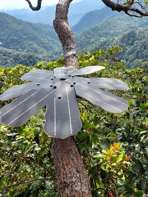 英飞凌与Rainforest Connection合作,利用先进的感测器技术保护雨林