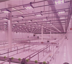 艾邁斯歐司朗OSLON植物照明先進技術,協助Revolution Microelectronics點亮未來農業