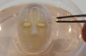 日本科學家成功開發電子皮膚 (來源:日本東京大學)