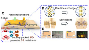 (圖片來源:Yongju Lee et al., Rapidly self-healing electronic skin for machine learning–assisted physiological and movement evaluation. Sci. Adv. 11, eads1301 (2025). DOI: 10.1126/sciadv.ads1301)