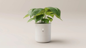 LeafyPod智慧植栽器